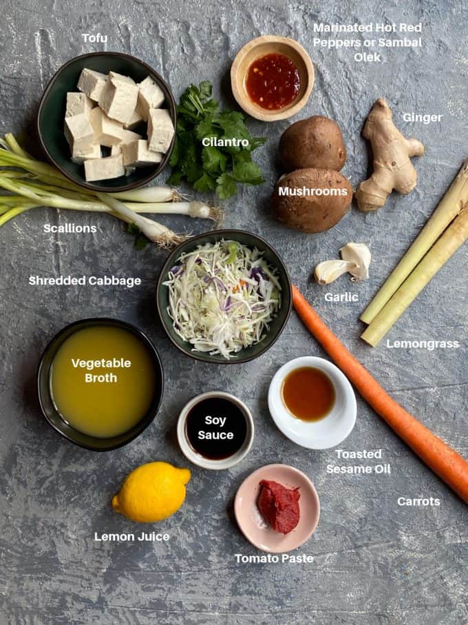 Overhead look of the ingredients to make thai soup: tofu, cilantro, mushrooms, hot red peppers, ginger, garlic, lemongrass, carrot, sesame oil, soy sauce, vegetable broth, lemon, tomato paste, cabbage, and scallions.