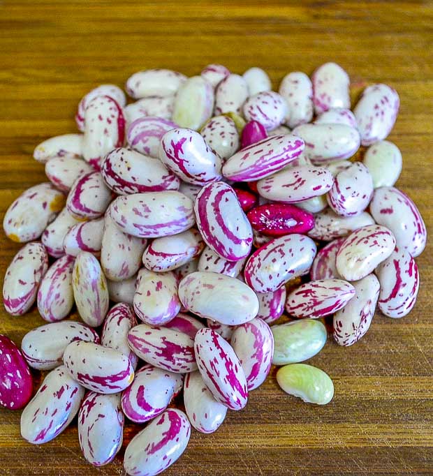 shelled fresh cranberry beans