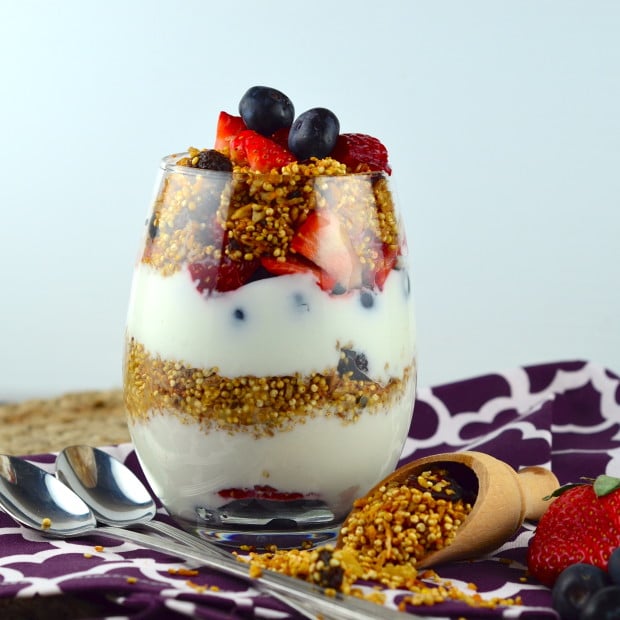 Gluten Free Passover Recipes Part 1 Cinnamon Raisin Quinoa Granola