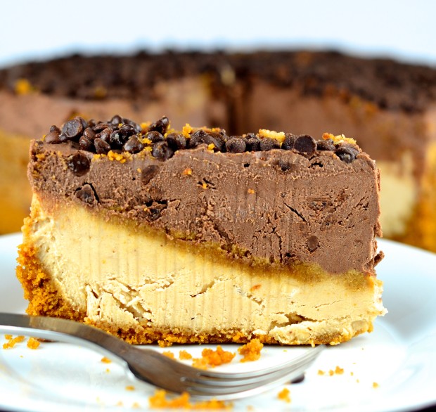 No-Bake Peanut Butter & Chocolate Vegan Cheesecake #cheesecake #vegan #chocolate #peanutButter #Vegan #glutenFree #dessert