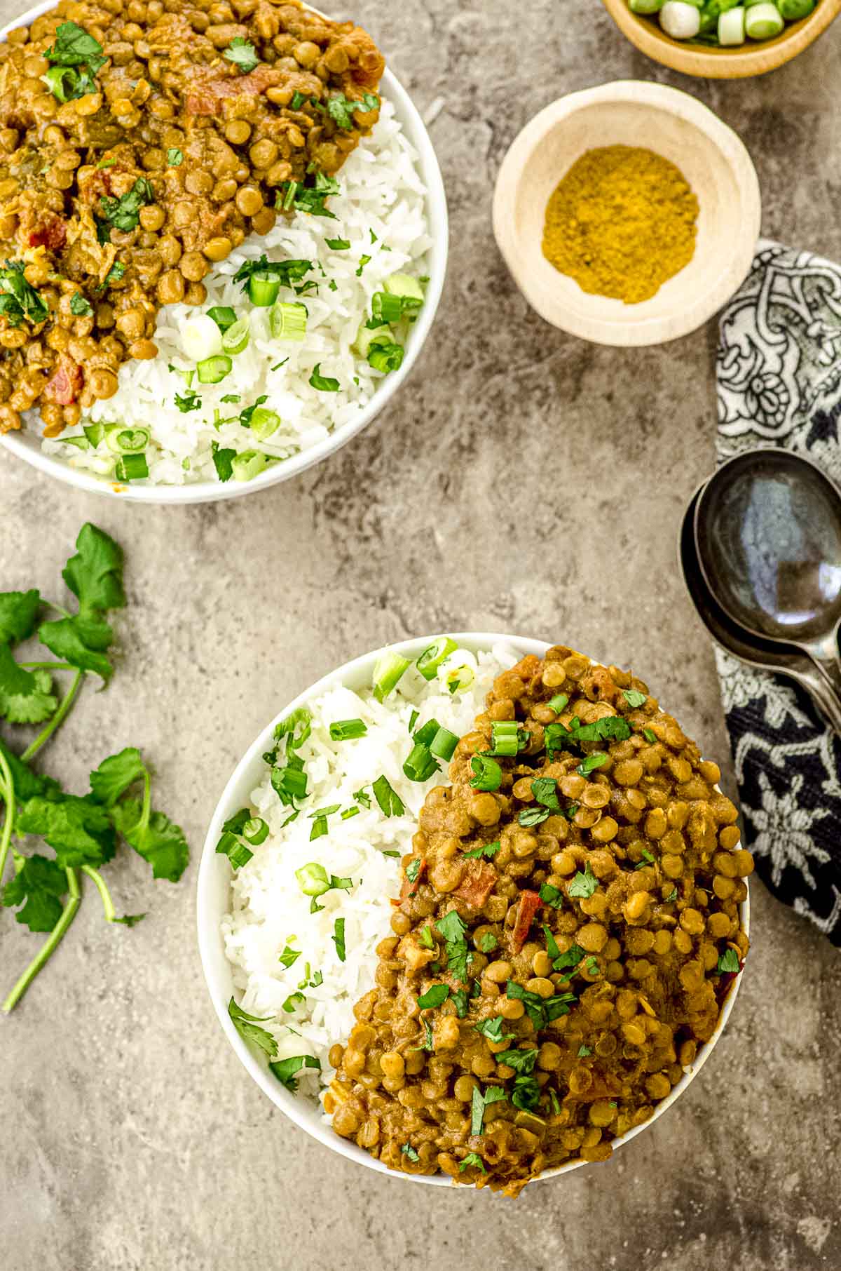 Lentil Curry - Vegan & Gluten Free May I Have That Recipe?