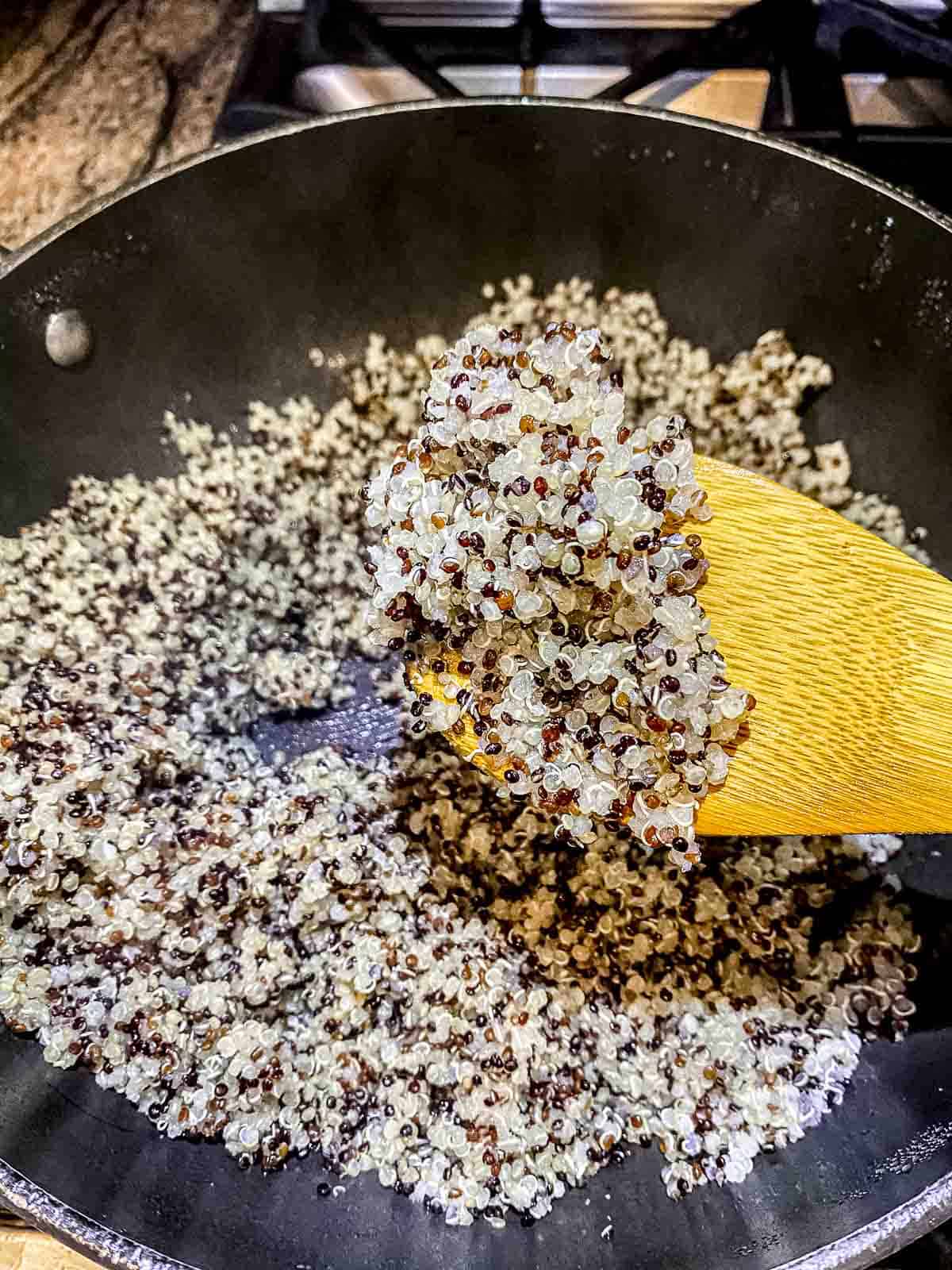 A spoonful of freshly cooked quinoa