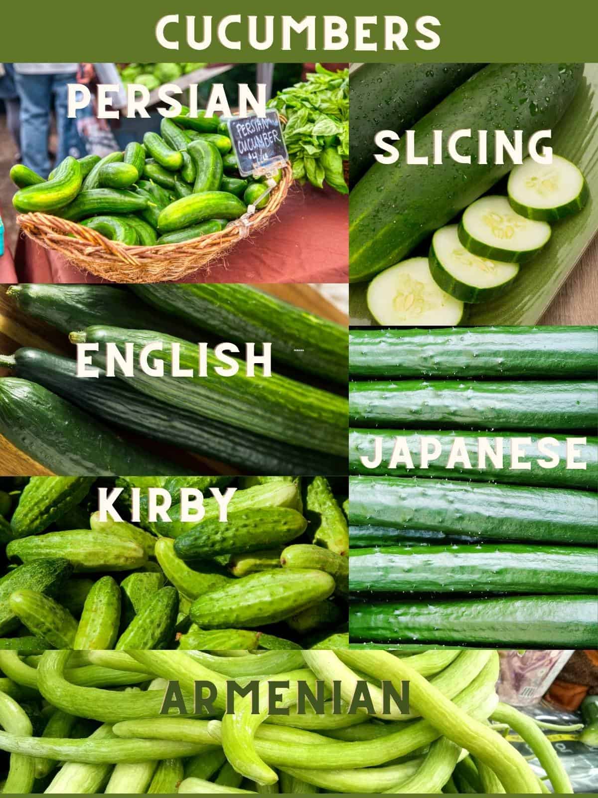 An Image collage of different types of cucumbers