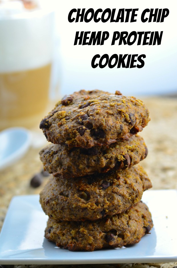 Chocolate Chip Hemp Protein Cookies - Healthy enough to eat for breakfast 