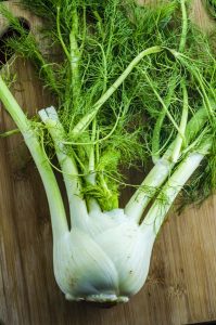 picture of a fresh fennel for fennel salad