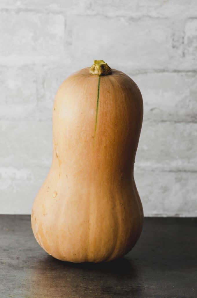 A butternut squash standing on a black surface