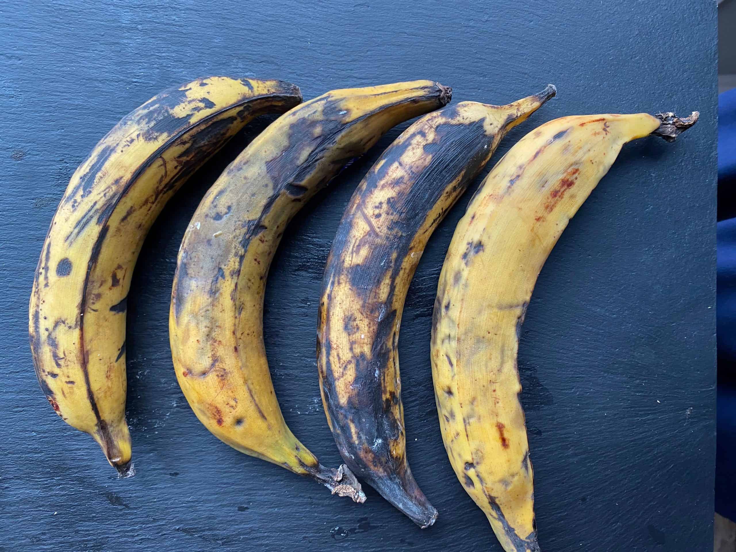 An overhead view of four plantains lined up