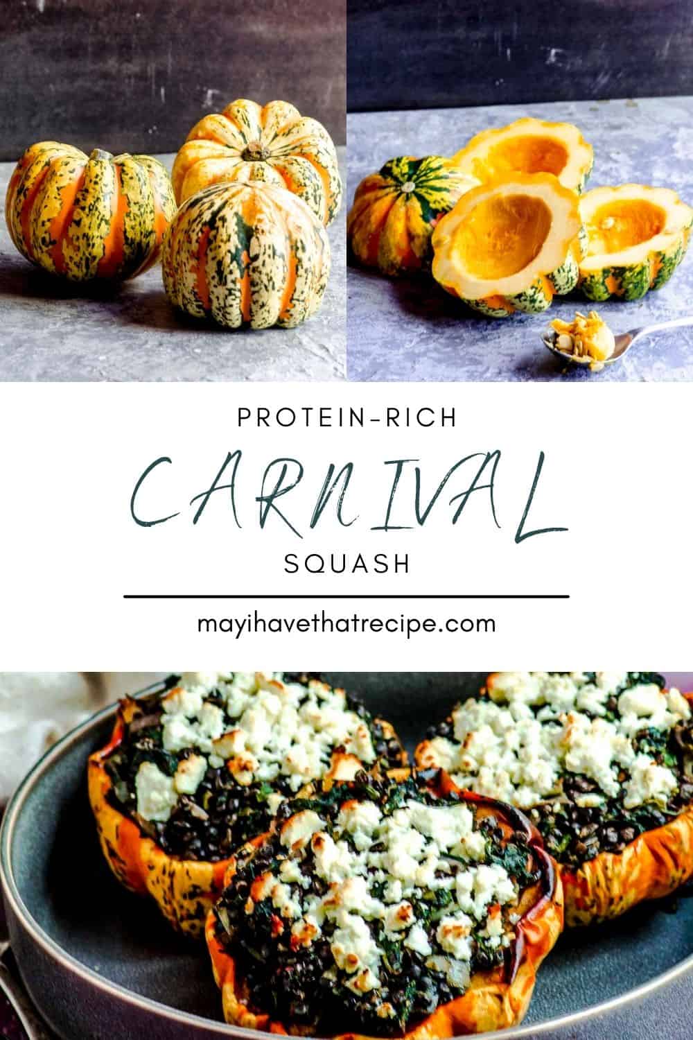 ProteinRich Carnival Squash Recipe May I Have That Recipe?