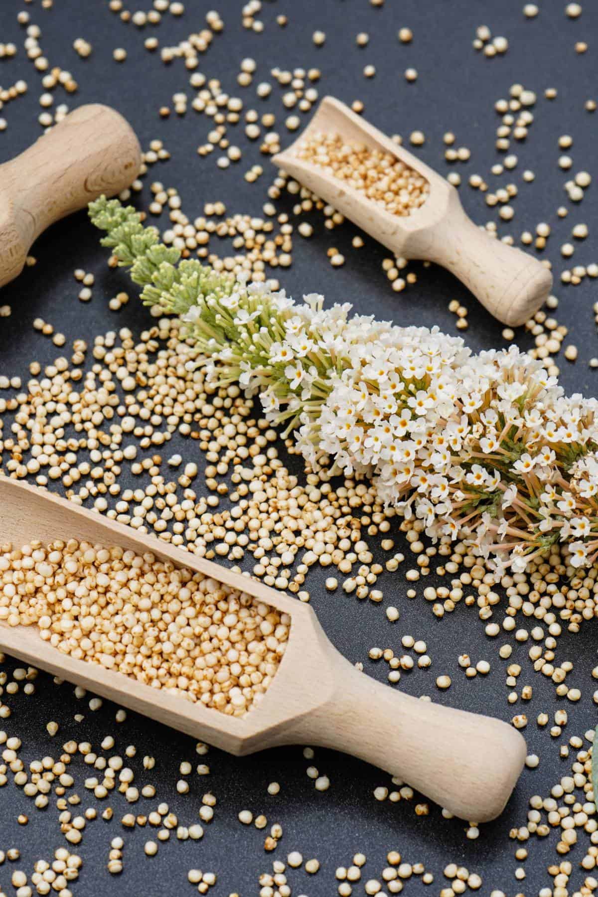 How To Cook Quinoa 4 Easy Ways May I Have That Recipe 